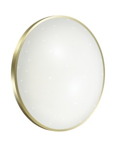 Светильник подвесной BRONZE 2089/DL (48Вт, 3000-6000К, IP43, LED) белый Sonex