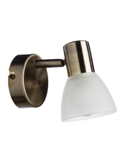Светильник настенно-потолочный/спот Parry A5062AP-1AB (1*40Вт, E14) Arte lamp