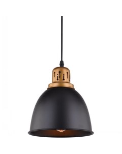Светильник подвесной Eurica A4245SP-1BK (1*60Вт, E27) Arte lamp