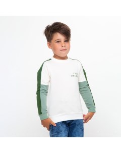 Свитшот для мальчика цвет серо зелёный рост 110 см Мануфактурная лавка