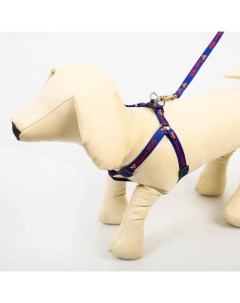 Комплект Super Dog шлейка 26 39 см поводок 120х1 см Пушистое счастье