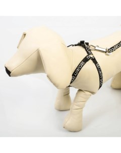 Комплект Security dog шлейка 26 39 см поводок 120х1 см Пушистое счастье