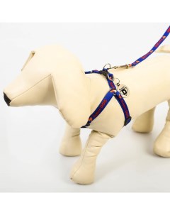 Комплект Super DOG шлейка 26 39 см поводок 120х1 см медальон Пушистое счастье
