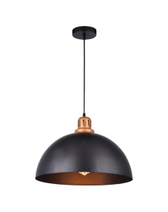 Светильник подвесной Eurica A4249SP-1BK (1*60Вт, E27) Arte lamp