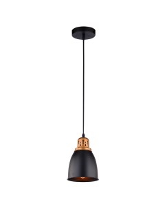 Светильник подвесной Eurica A4248SP-1BK (1*60Вт, E27) Arte lamp