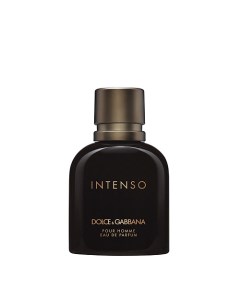 Pour Homme Intenso 40 Dolce&gabbana