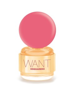 Want Pink Ginger 100 Dsquared2