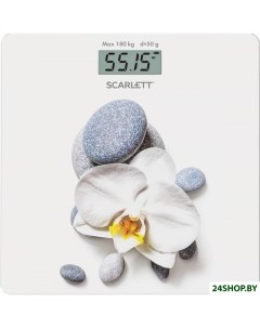 Напольные весы SC BS33E020 Scarlett
