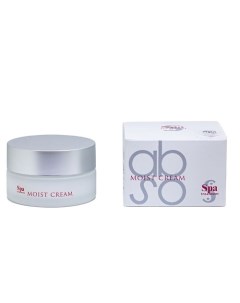 Увлажняющий крем Abso Water Moist Cream 30 Spa treatment