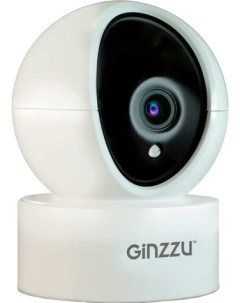 IP камера HWD 2301A Ginzzu