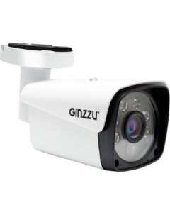 IP камера HIB 2301A Ginzzu