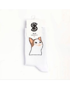 Носки Кот А Super socks