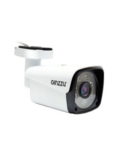 IP камера Ginzzu