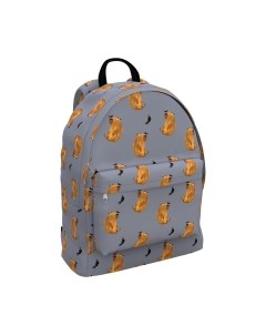 Школьный рюкзак Erich krause