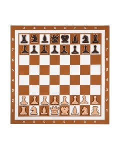 Шахматы Время игры