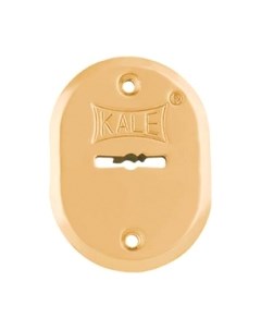 Накладка под сувальдный ключ Kale kilit
