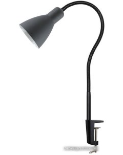Настольная лампа HN1014 черный Etp