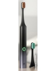 Электрическая зубная щетка Aurora T2 черный Enchen