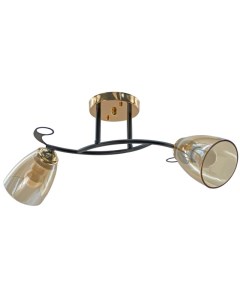 Светильник подвесной (CL) НПБ 02-2x60-101 A4088/2 чёрный/золото (2*60Вт, Е27) Aitin-pro