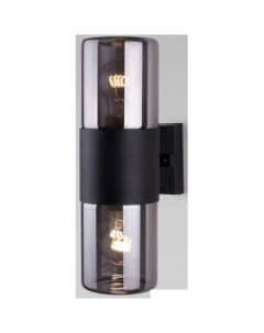 Уличный настенный светильник Roil 35125 D черный дымчатый Elektrostandard
