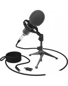 Микрофон RDM 160 Ritmix