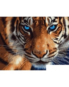 Картина по номерам Голубоглазый тигр VA 0493 Kolibriki