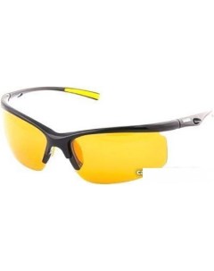 Солнцезащитные очки 10 NF 2010 Norfin