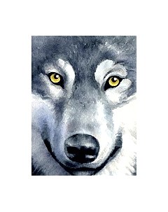 Набор алмазной вышивки Взгляд волка / WD2361 Wizardi