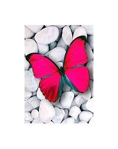 Набор алмазной вышивки Мгновение / WD054 Wizardi