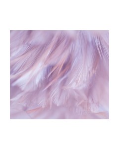 Фотообои листовые Vimala Перья 1