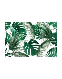 Фотообои листовые Vimala Векторные листья 10