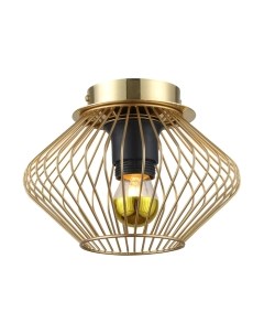 Потолочный светильник Lussole Loft Brooks GRLSP-8248