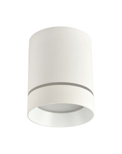 Потолочный светильник FAVOURITE 3064-1C Favourite