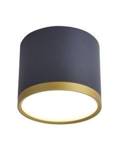 Потолочный светильник FAVOURITE 3081-2C Favourite