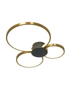 Потолочный светильник Lussole Lowell LSP-7112