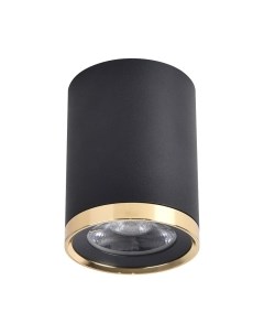 Потолочный светильник FAVOURITE 3086-1C Favourite