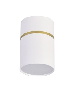 Потолочный светильник FAVOURITE 3067-1C Favourite