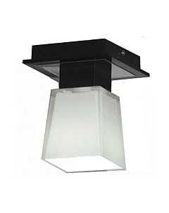Потолочный светильник Lussole Lente LSC-2507-01