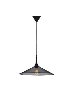 Потолочный светильник Lussole Loft GRLSP-9813