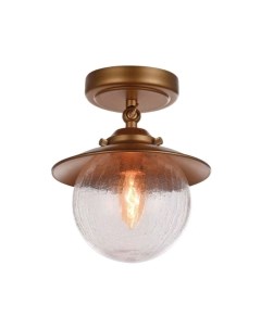 Потолочный светильник Farola 2027-1U Favourite