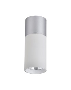 Потолочный светильник FAVOURITE 3071-1C Favourite