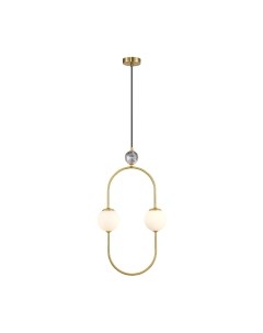 Потолочный светильник FAVOURITE 3009-2P Favourite