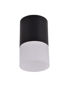 Потолочный светильник FAVOURITE 3070-1C Favourite