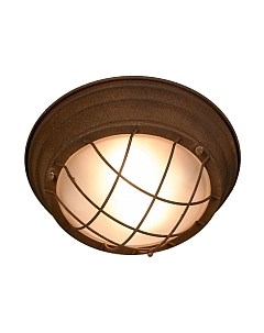 Потолочный светильник Lussole Loft LSP-8068