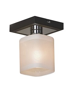 Потолочный светильник Lussole Costanzo LSL-9007-01