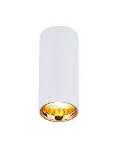 Точечный светильник Elektrostandard DLR030 12W 4200K