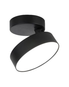 Потолочный светильник Elektrostandard Pila 12W 4200К / 25135/LED