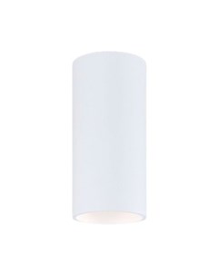 Потолочный светильник Elektrostandard Diffe 85580/01