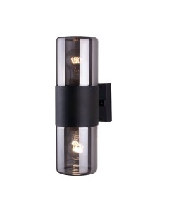 Бра уличное Elektrostandard Roil 35125/D