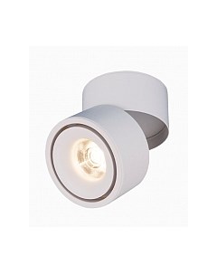 Точечный светильник Elektrostandard DLR031 15W 4200K 3100